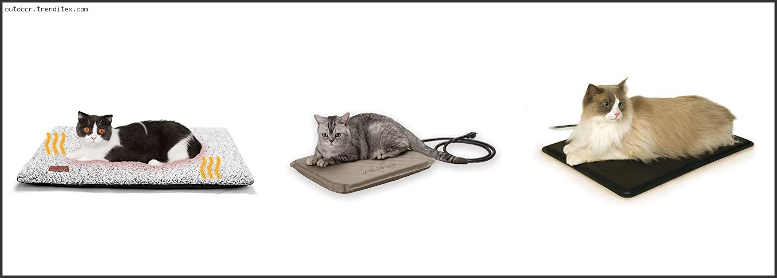 Best Outdoor Heating Pad For Cats