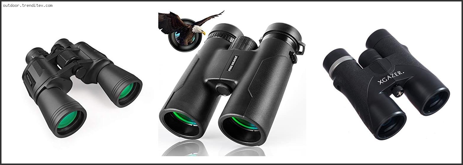 Best High Power Binoculars For Hunting