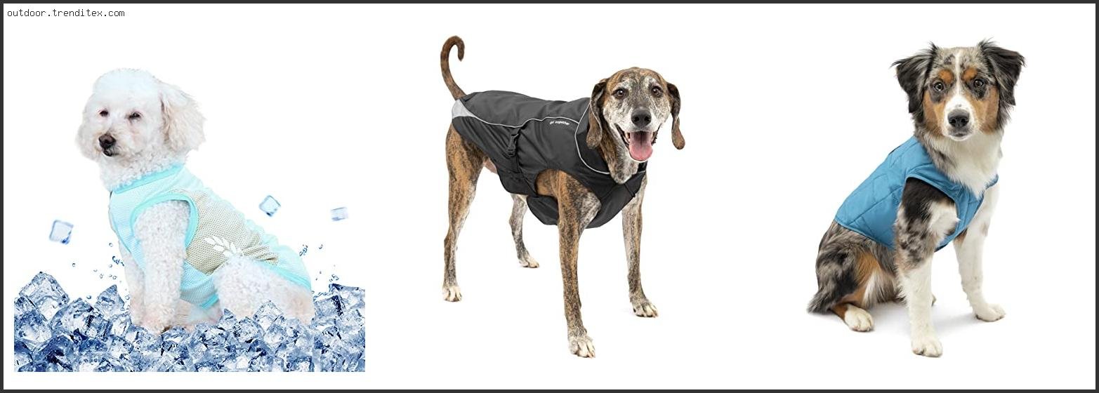 Best Dog Coat For Hiking