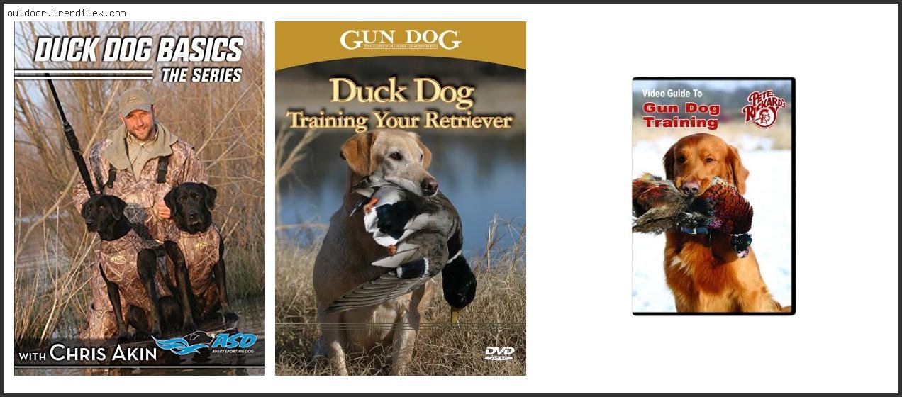 Best Duck Dog Training Dvd