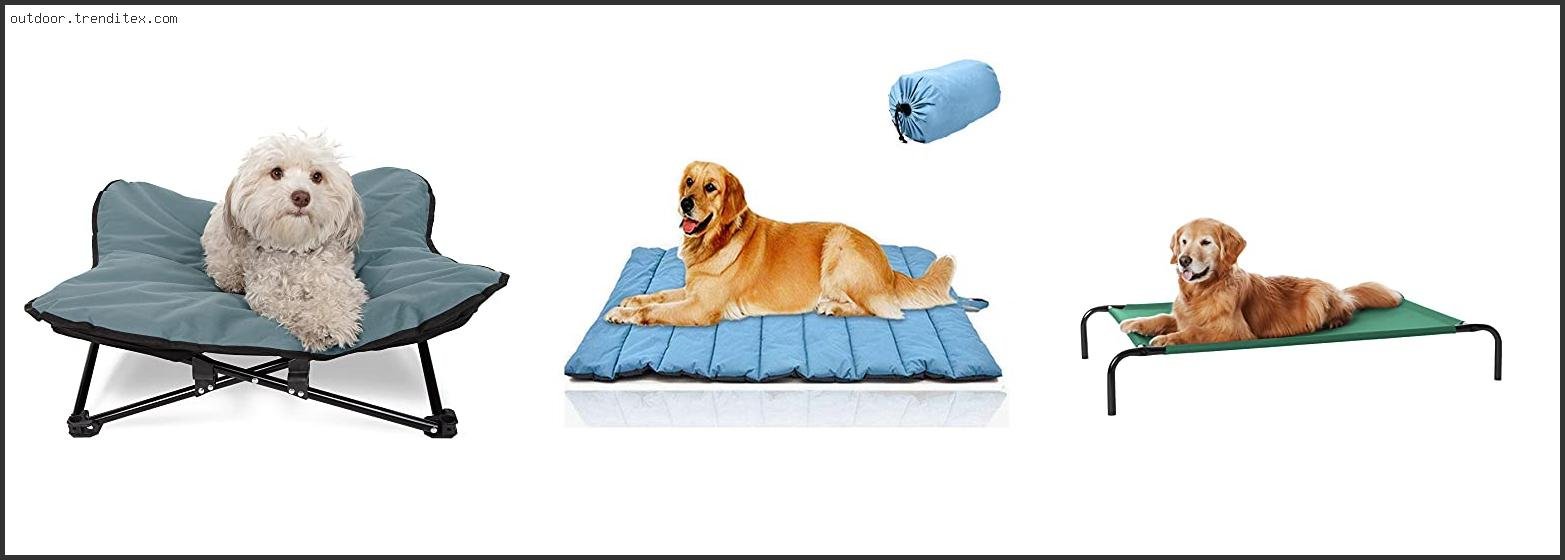 Best Dog Bed For Camping
