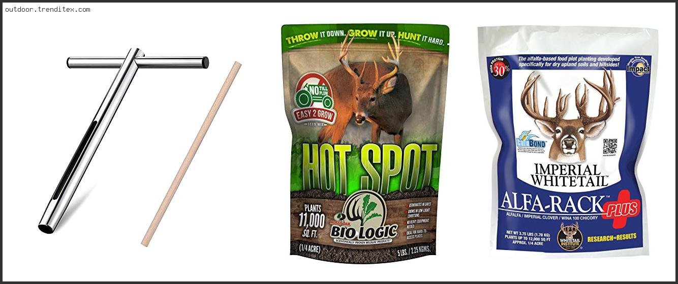 Best Deer Food Plot For Sandy Soil
