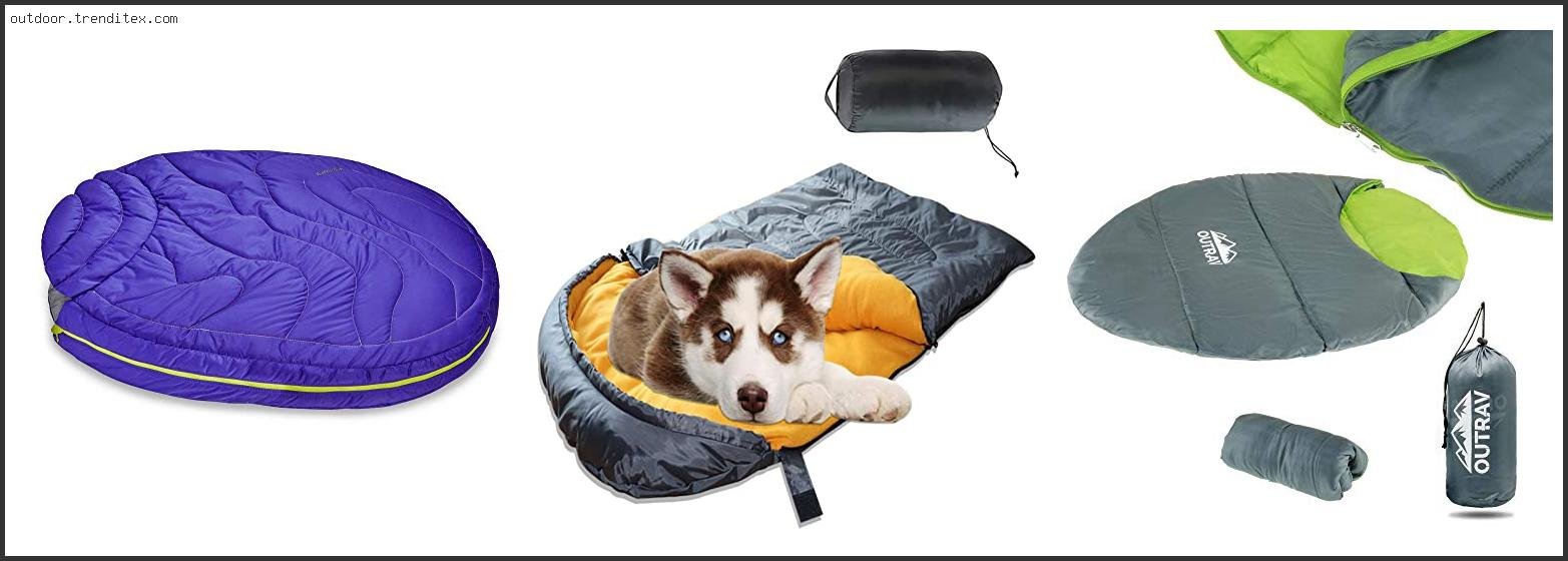 Best Dog Sleeping Bag For Camping