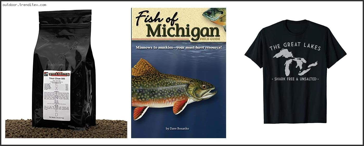 Best Bluegill Fishing Lakes In Michigan