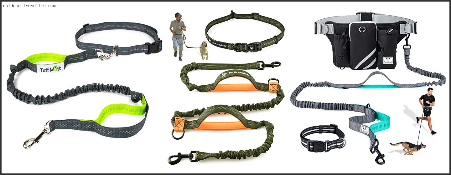 Best Running Leashes For Dogs That Pull