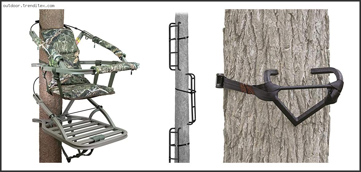 Best Tree Climbing Steps