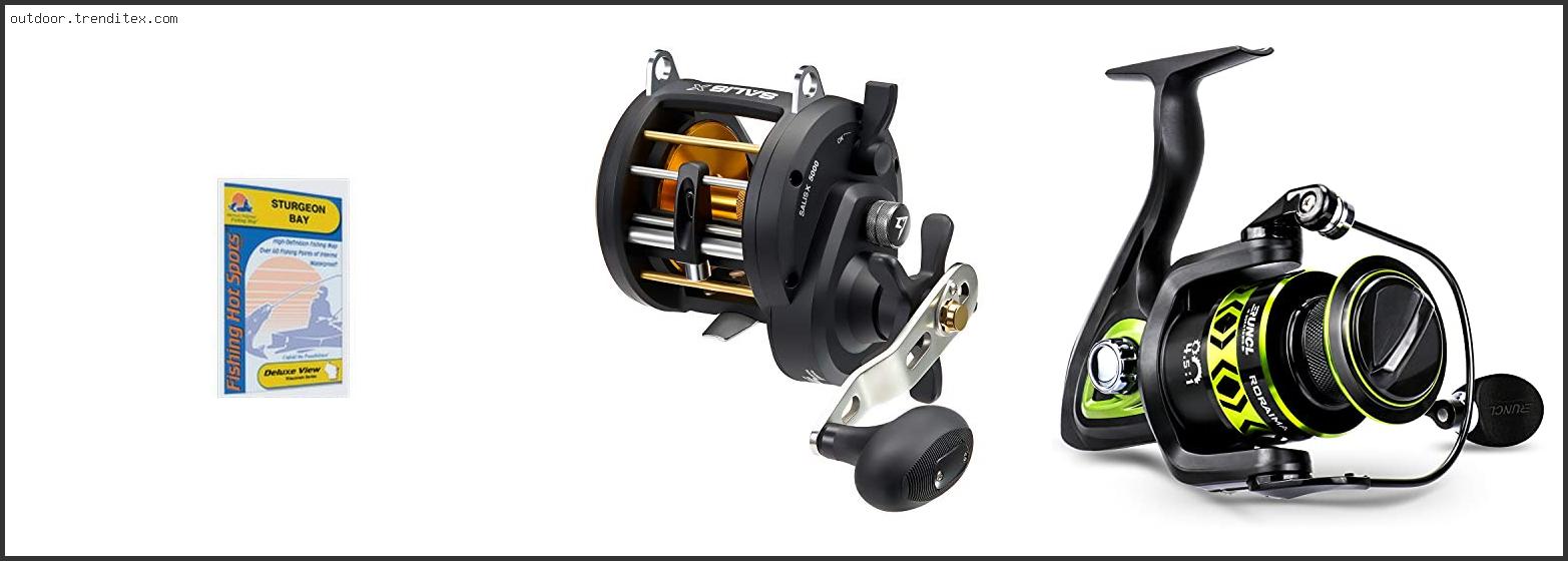 Best Reel For Sturgeon Fishing