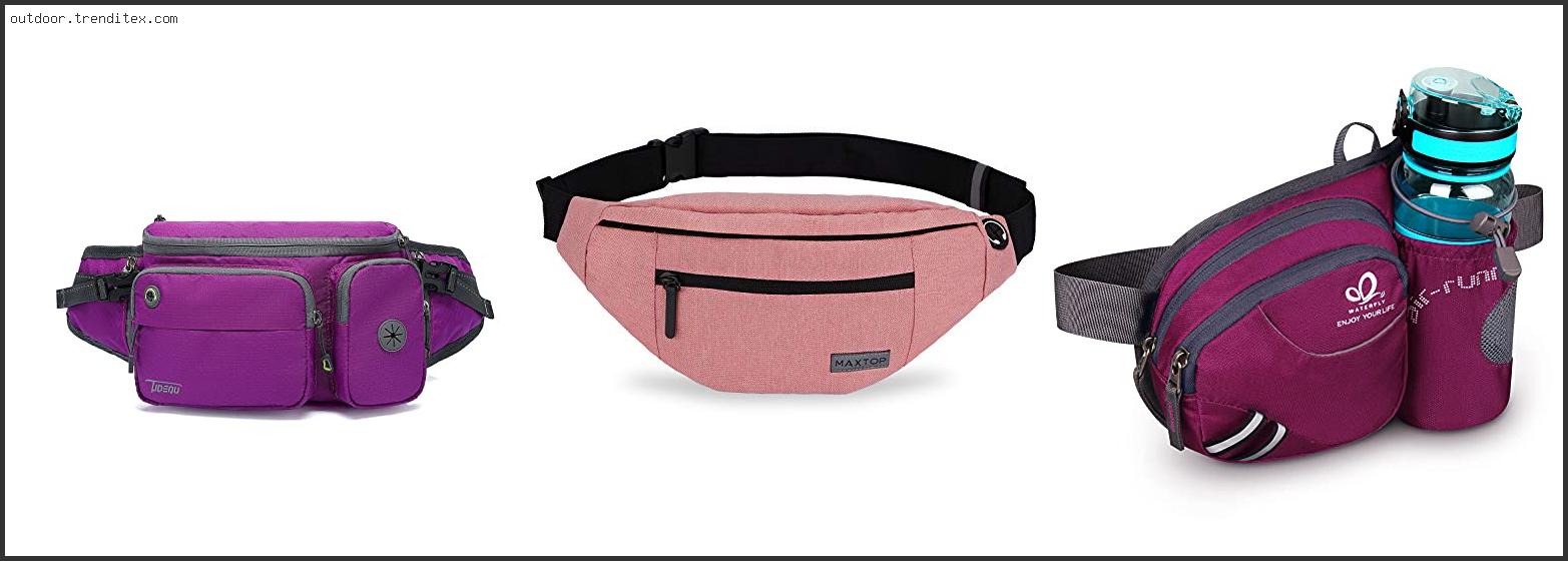 Best Dog Walking Fanny Pack