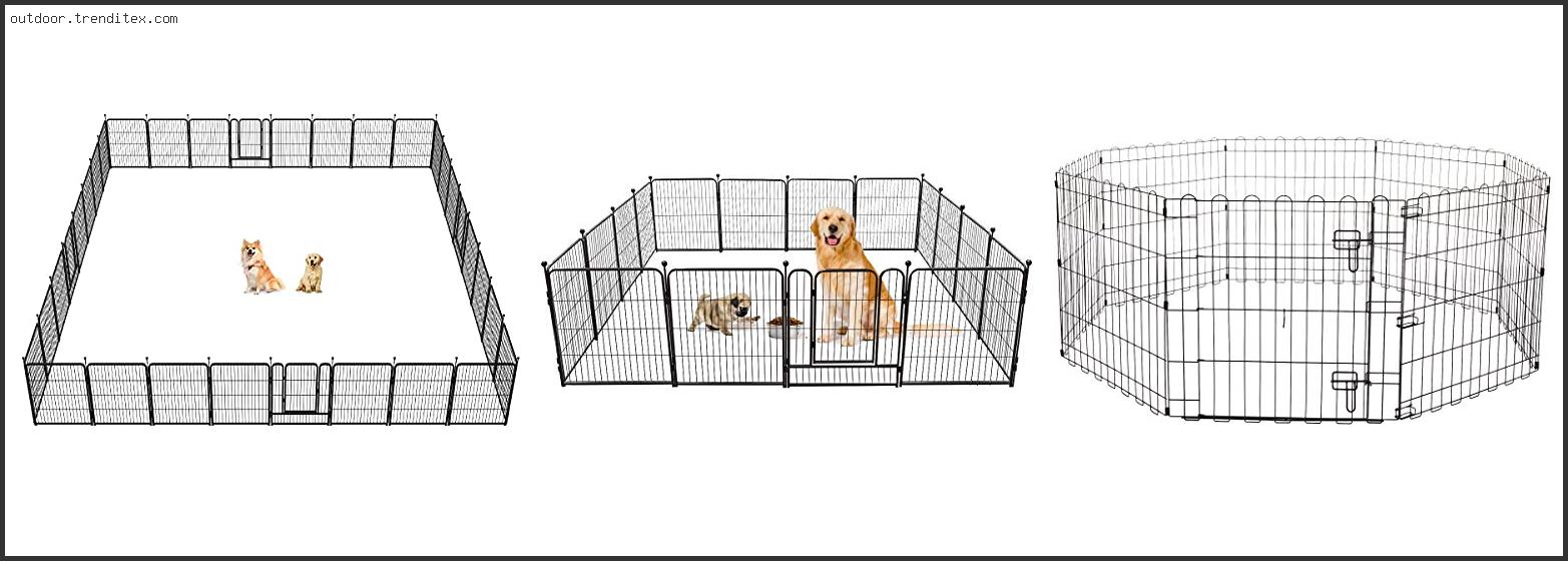 Best Portable Dog Fence For Camping