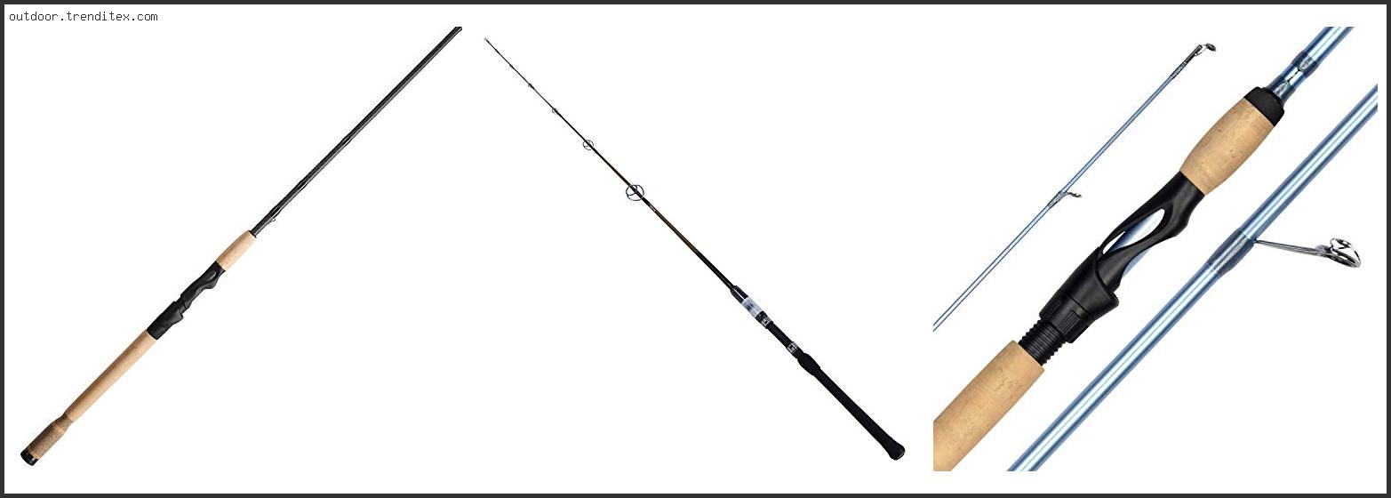 Best Tarpon Spinning Rod