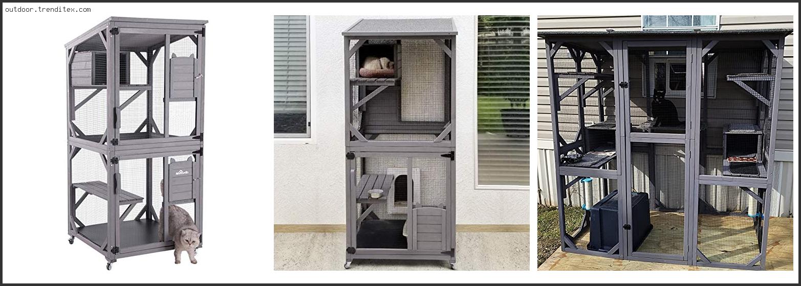 Best Outdoor Cat Enclosures