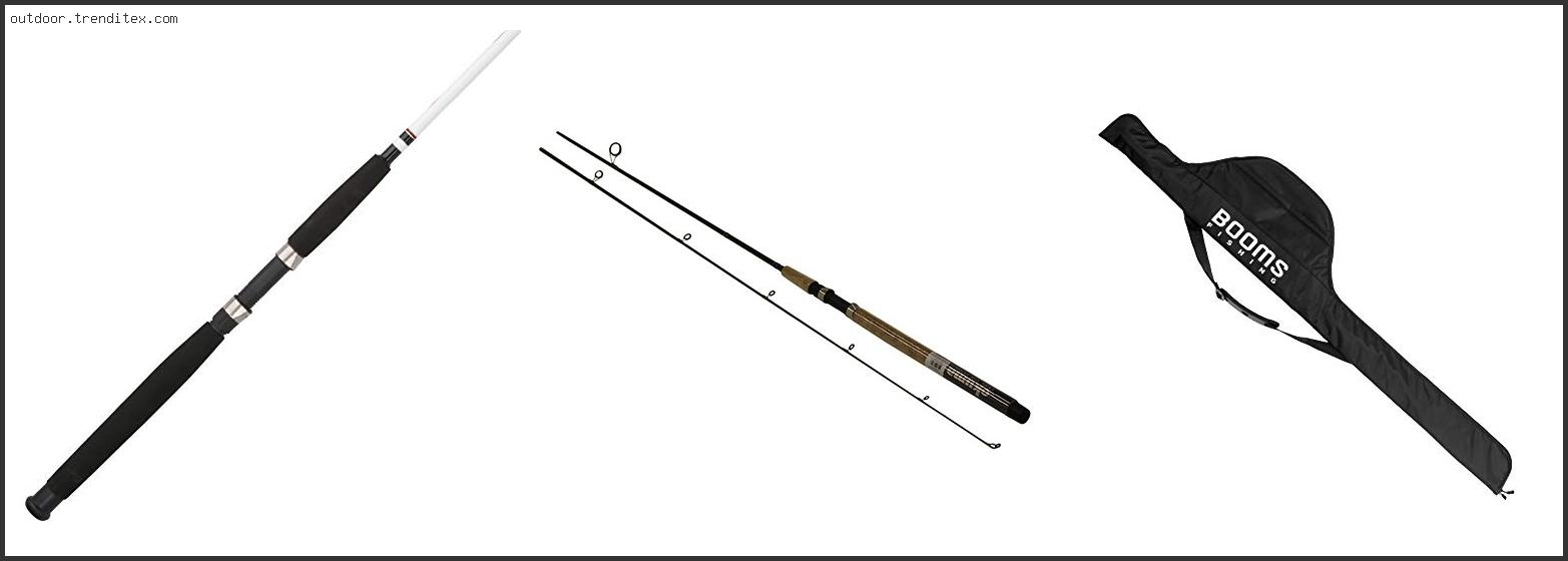 Best Single Hand Steelhead Rod