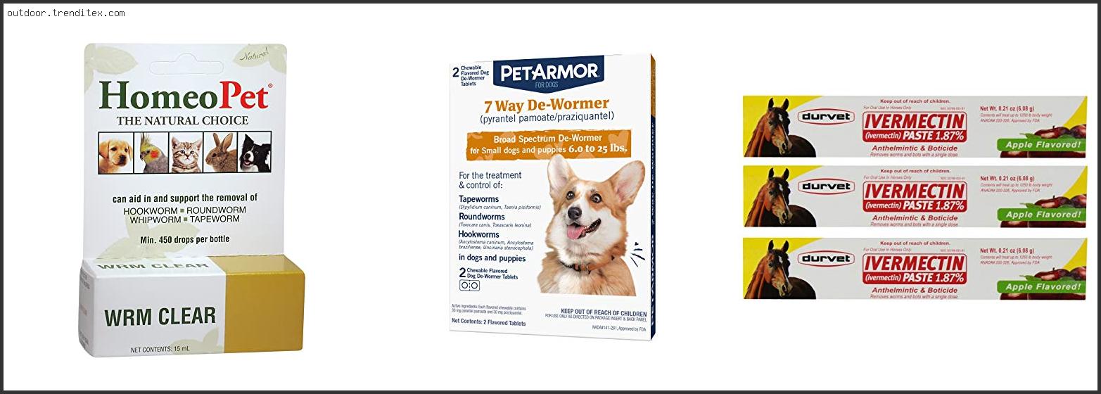 Best Wormer For Hunting Dogs