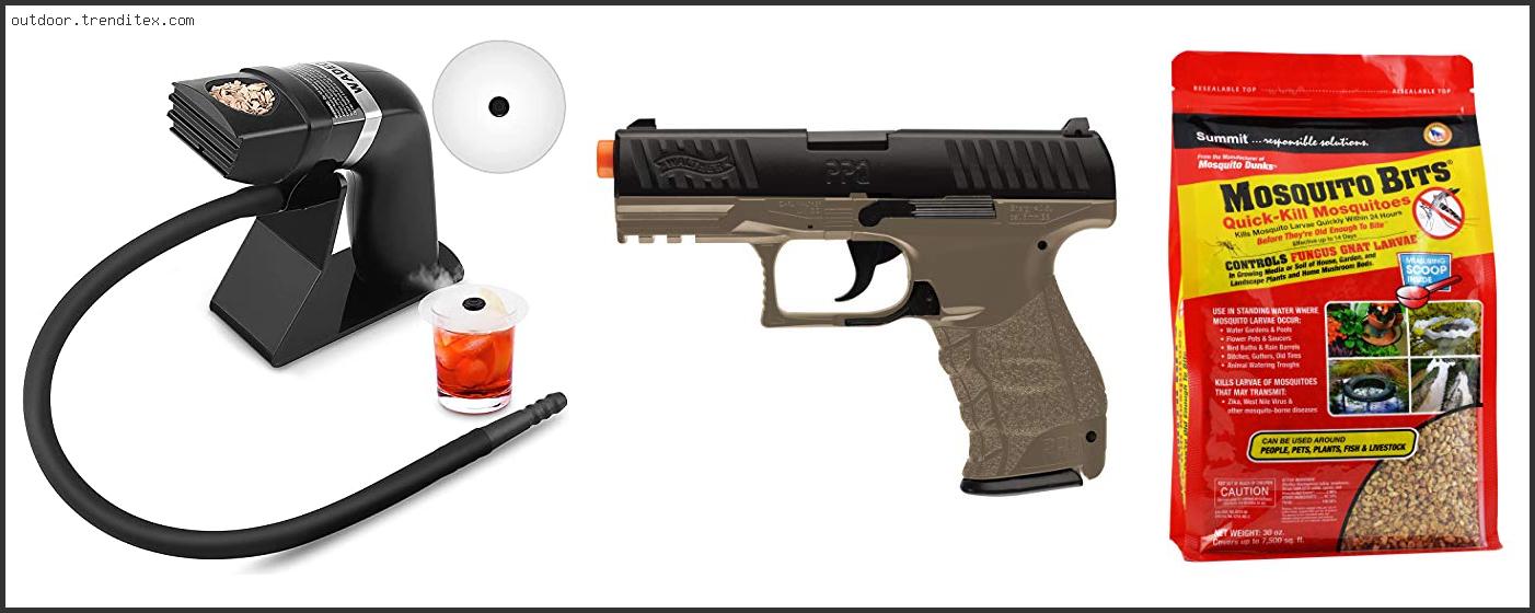 Top 10 Best Pellet Gun For Groundhogs Reviews With Scores - Trendy