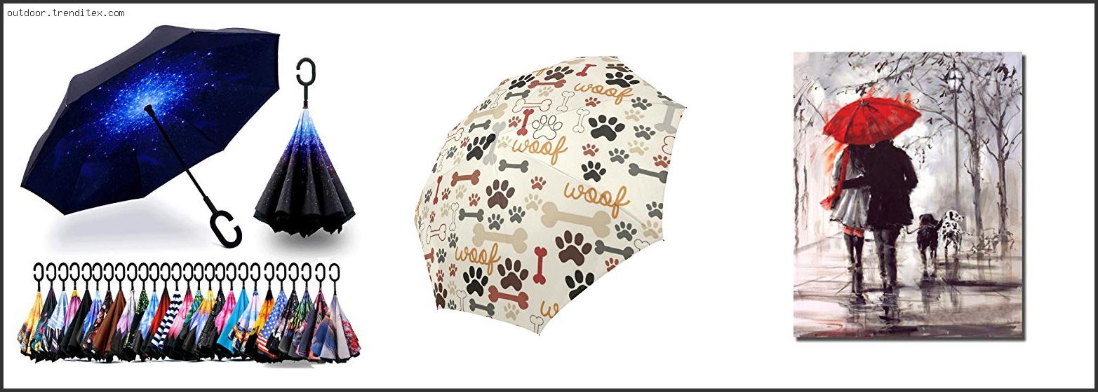 Best Umbrella For Dog Walking