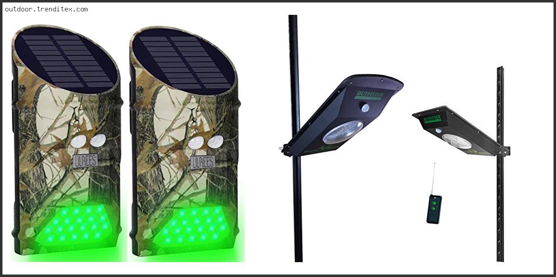 Best Green Motion Light For Hog Hunting