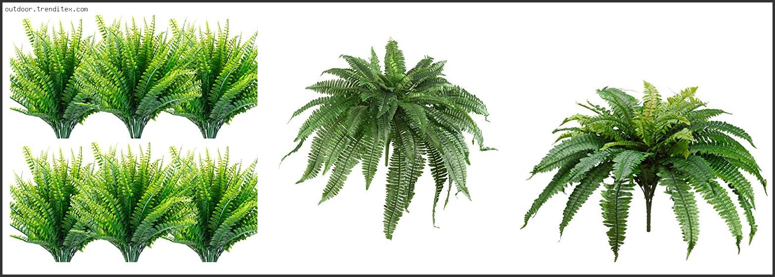 Best Artificial Outdoor Ferns