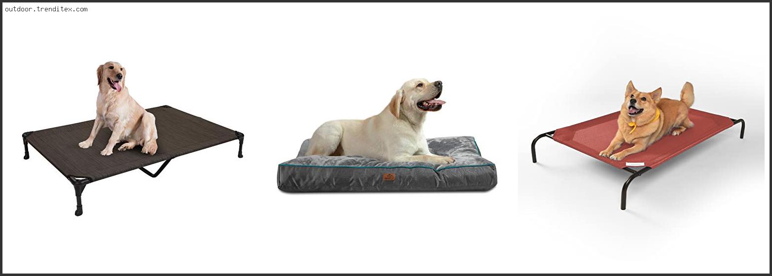 Best Outdoor Dog Beds