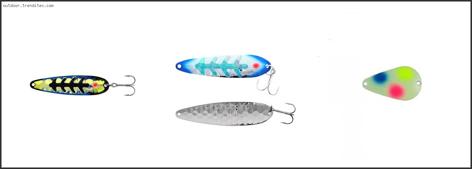 Best Moonshine Spoons For Salmon