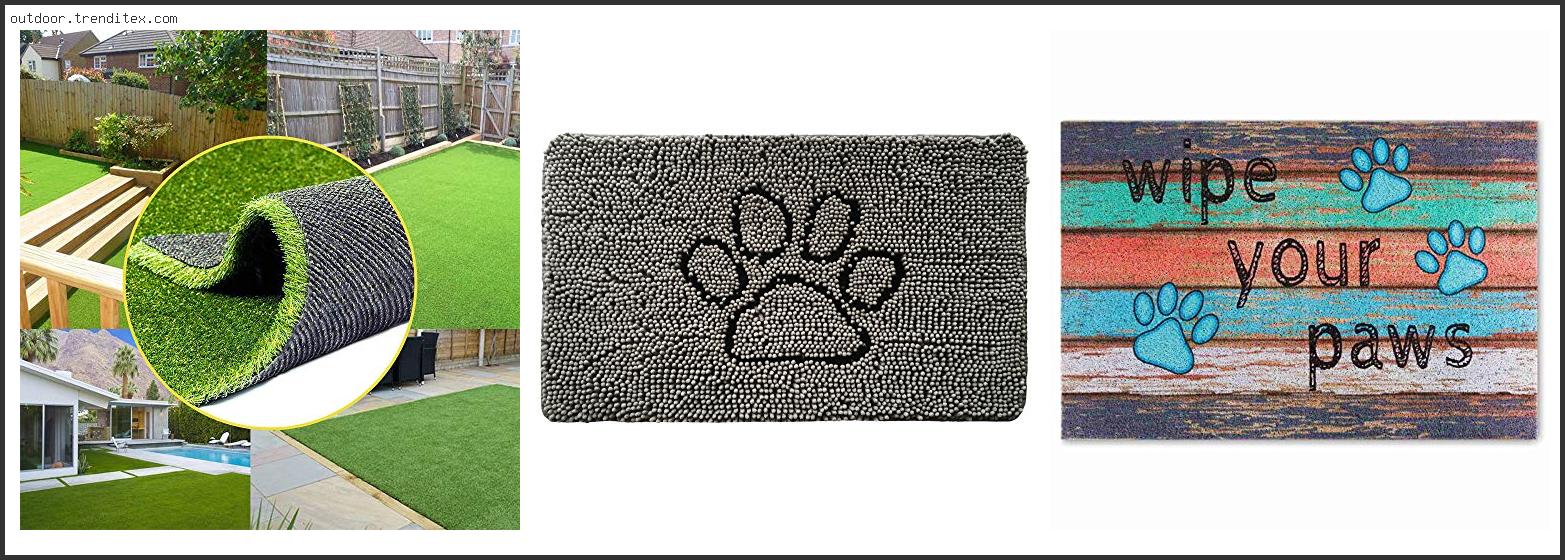 Best Outdoor Rugs For Dogs