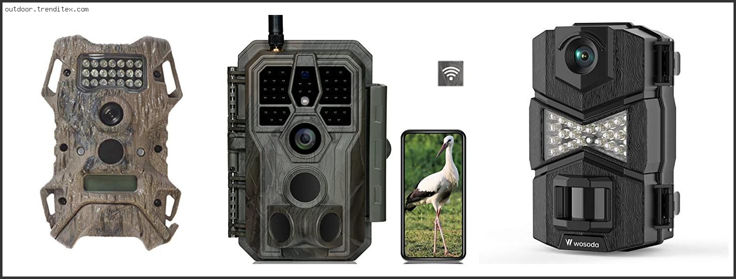 Best Trail Camera Amazon