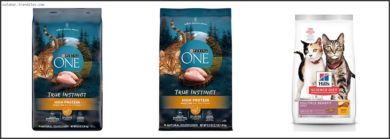 Best Outdoor Cat Food