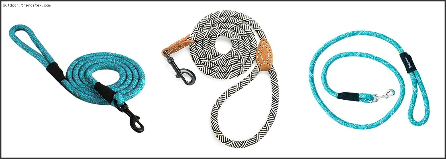 Best Climbing Rope Dog Leash