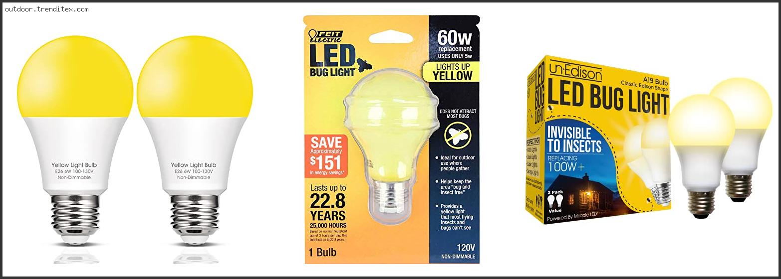 Best Outdoor Light Bulbs For Bugs