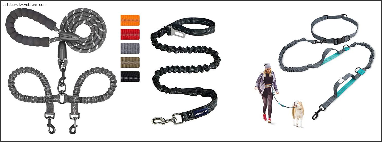 Best Dog Leash For Walking