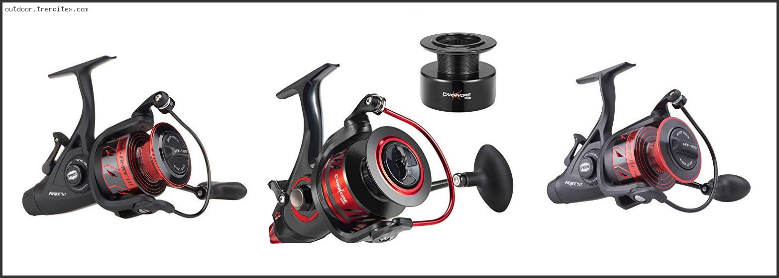 Best Live Liner Spinning Reel