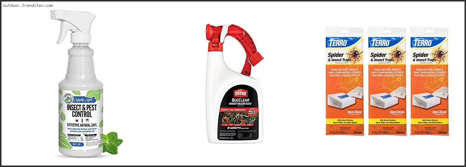 Best Outdoor Spider Repellent