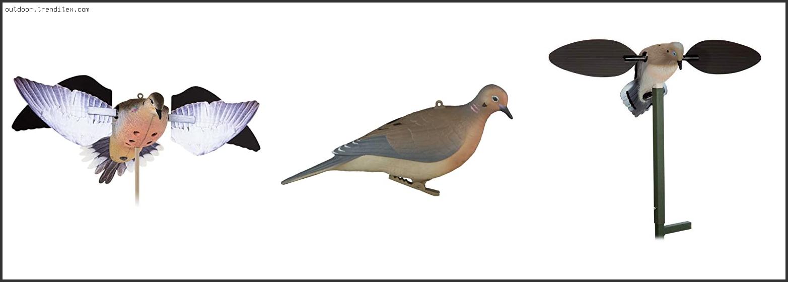 Best Dove Hunting Decoys