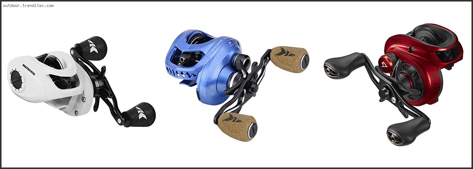 Best Baitcasting Reel For Pike