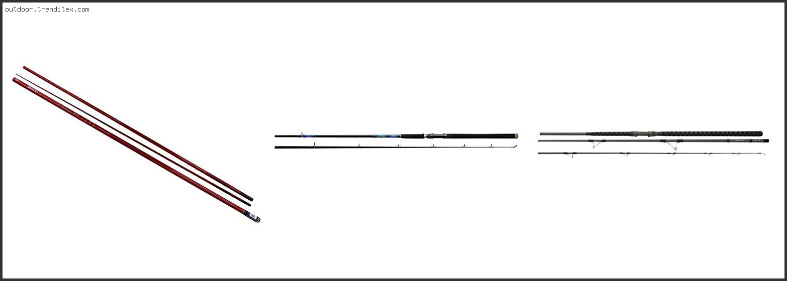 Best Daiwa Surf Rod