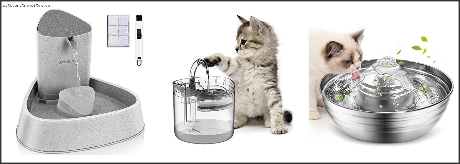 Best Running Water Bowl For Cats