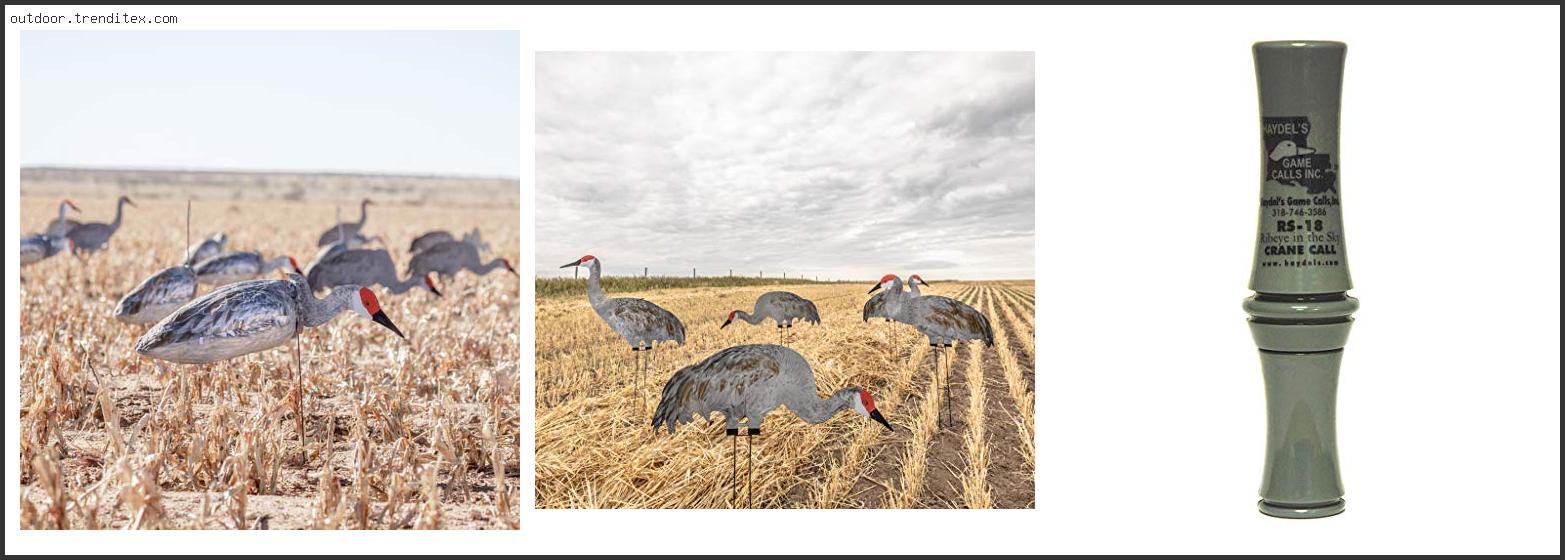 Best Sandhill Crane Decoys