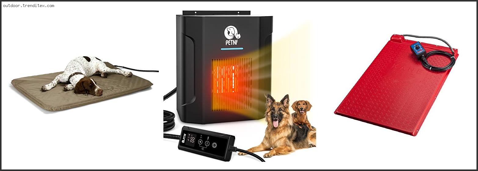 Best Outdoor Heated Dog House