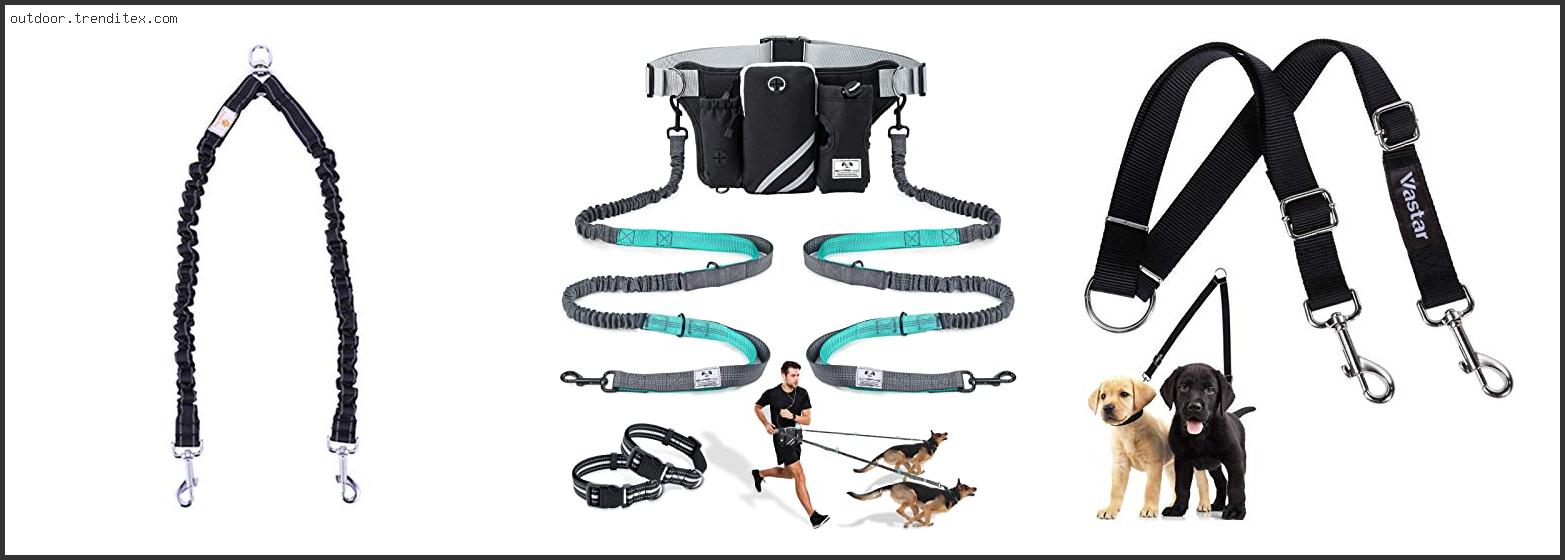 Best Leash For Walking Two Dogs