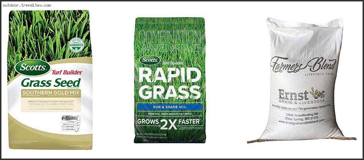 Best Ryegrass For Deer