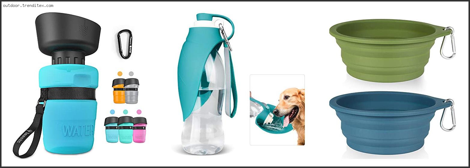 Best Hiking Dog Water Bowl