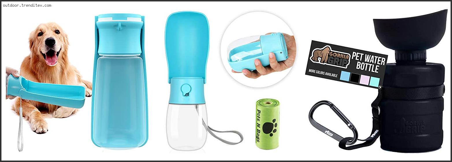 Best Dog Walking Water Bottle