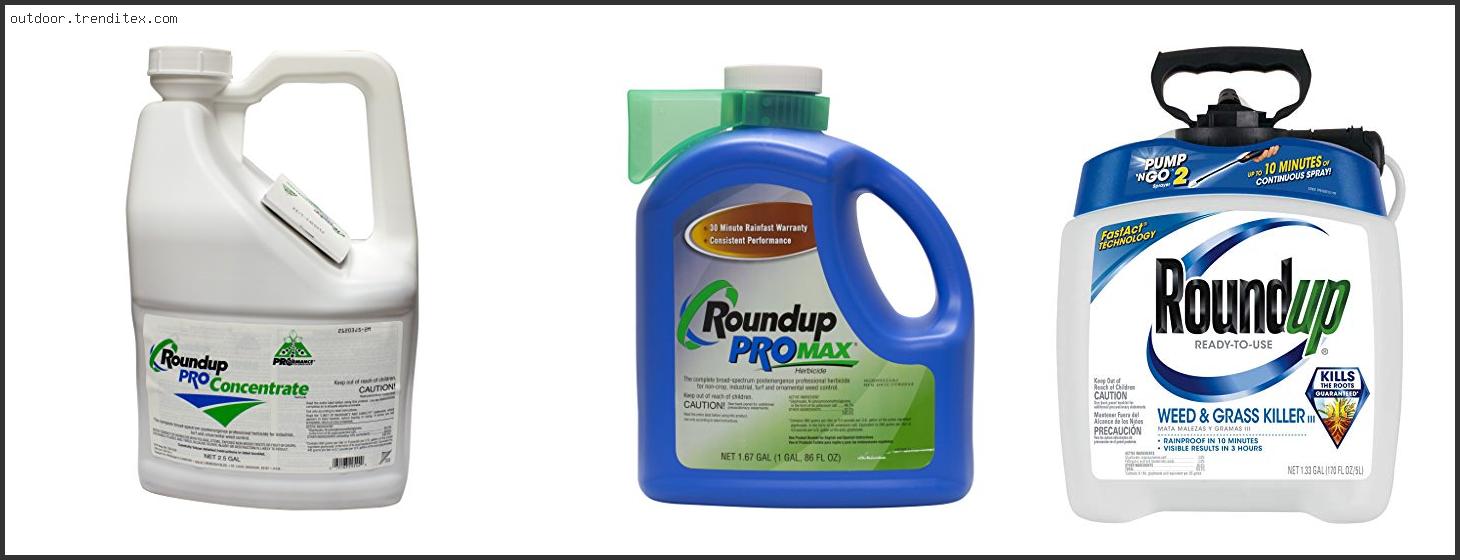 Best Mask For Spraying Roundup